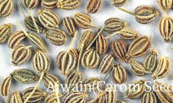 ajawain seeds