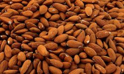 badam health benefits