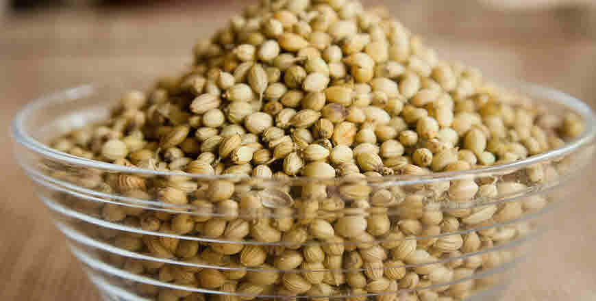 Dhaniya Medicinal Usage - bimbima