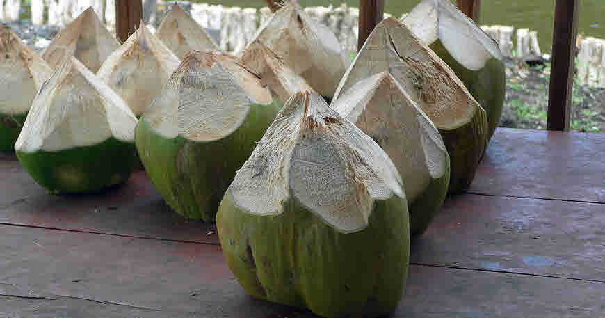 coconut water