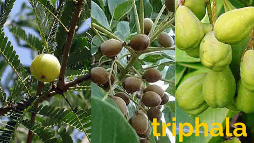 triphala churn
