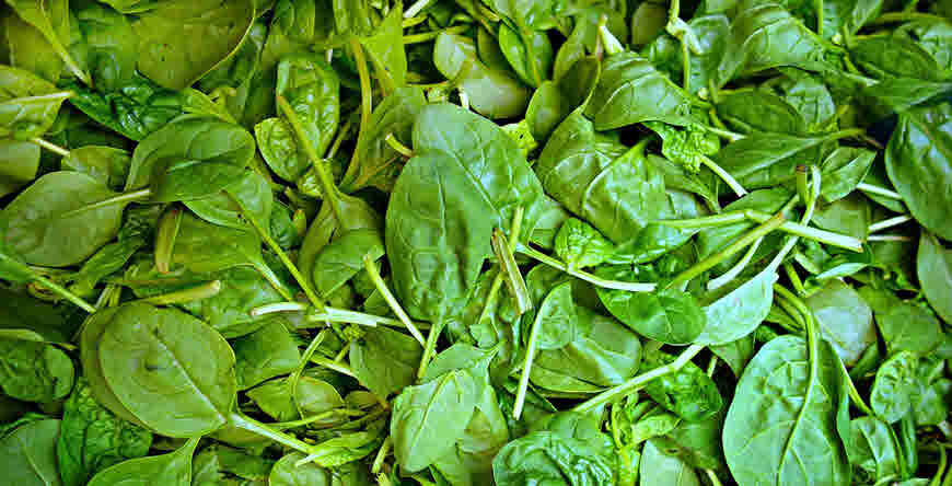 spinach health benefits