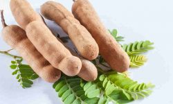 Imli medicinal uses