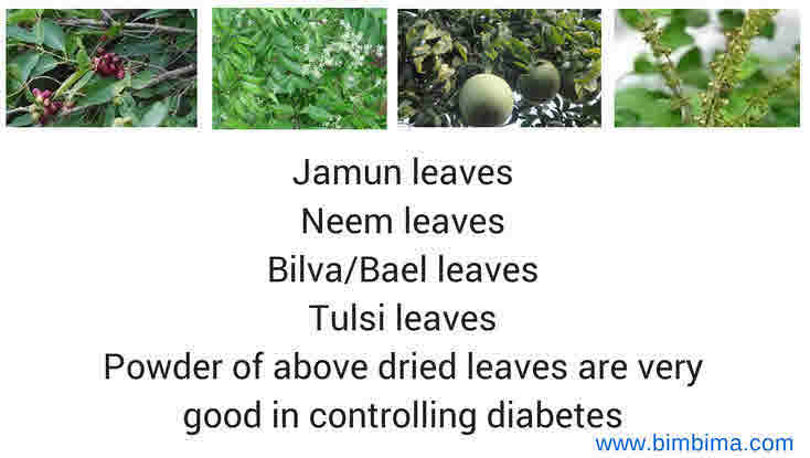 diabetes herbal powder