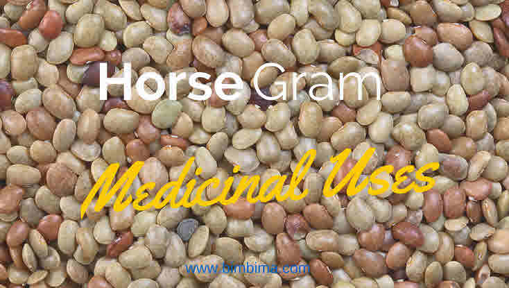 Horse-gram medicinal uses