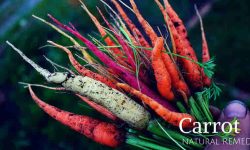 Carrot health benefits and uses