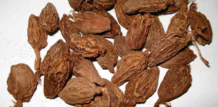 badi ilaayachi