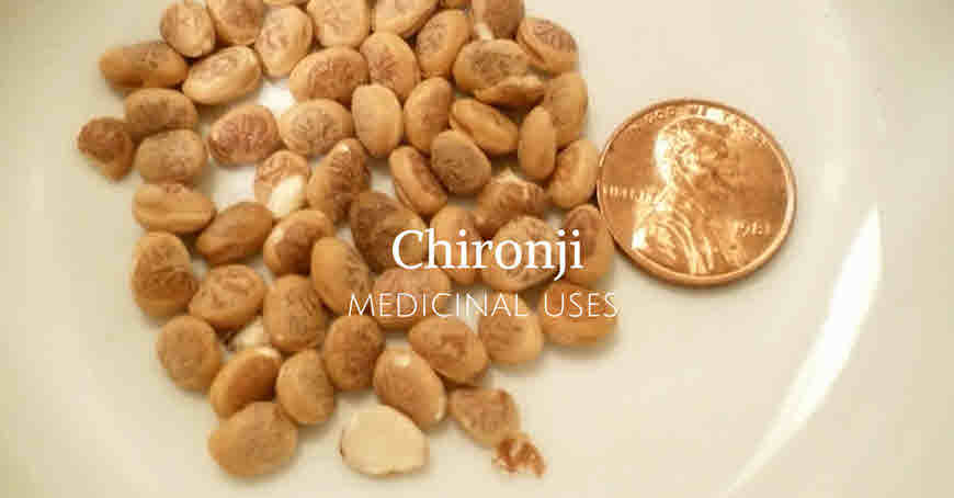 chironji medicinaluses