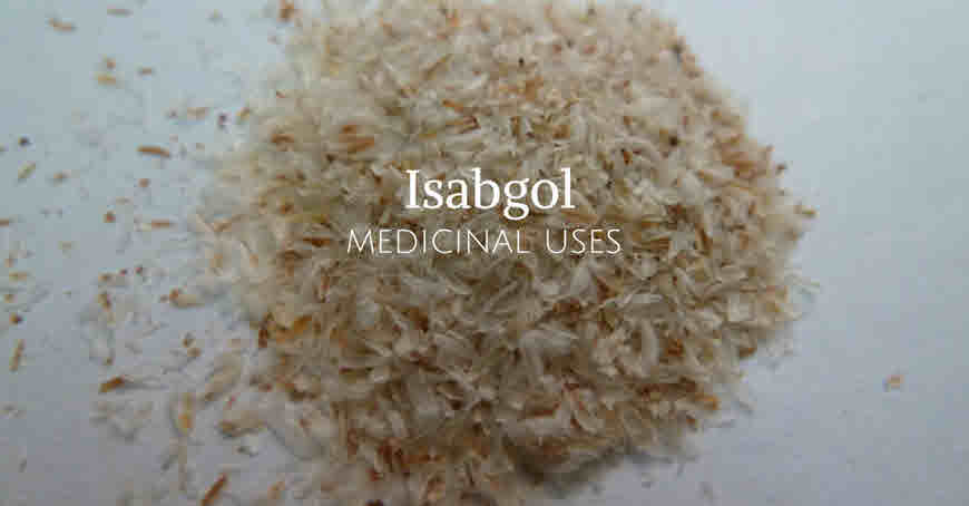 isabgol medicinal use