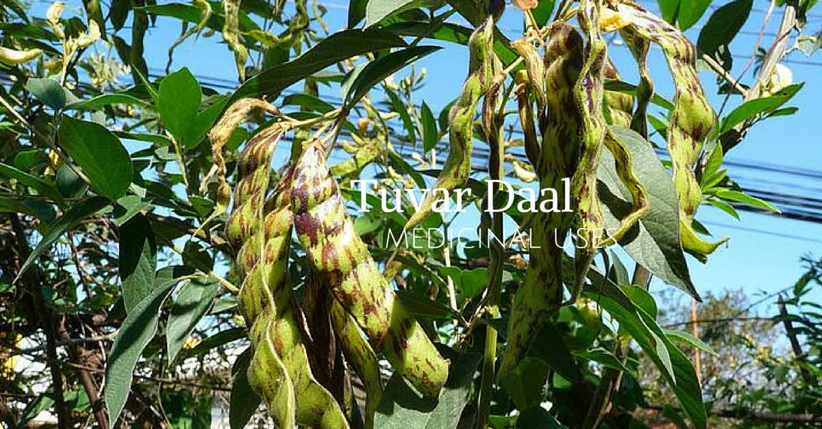 Tuwar daal