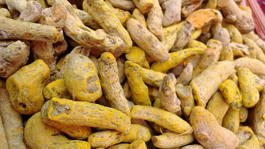 Haldi medicinal uses