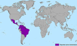 zika virus map